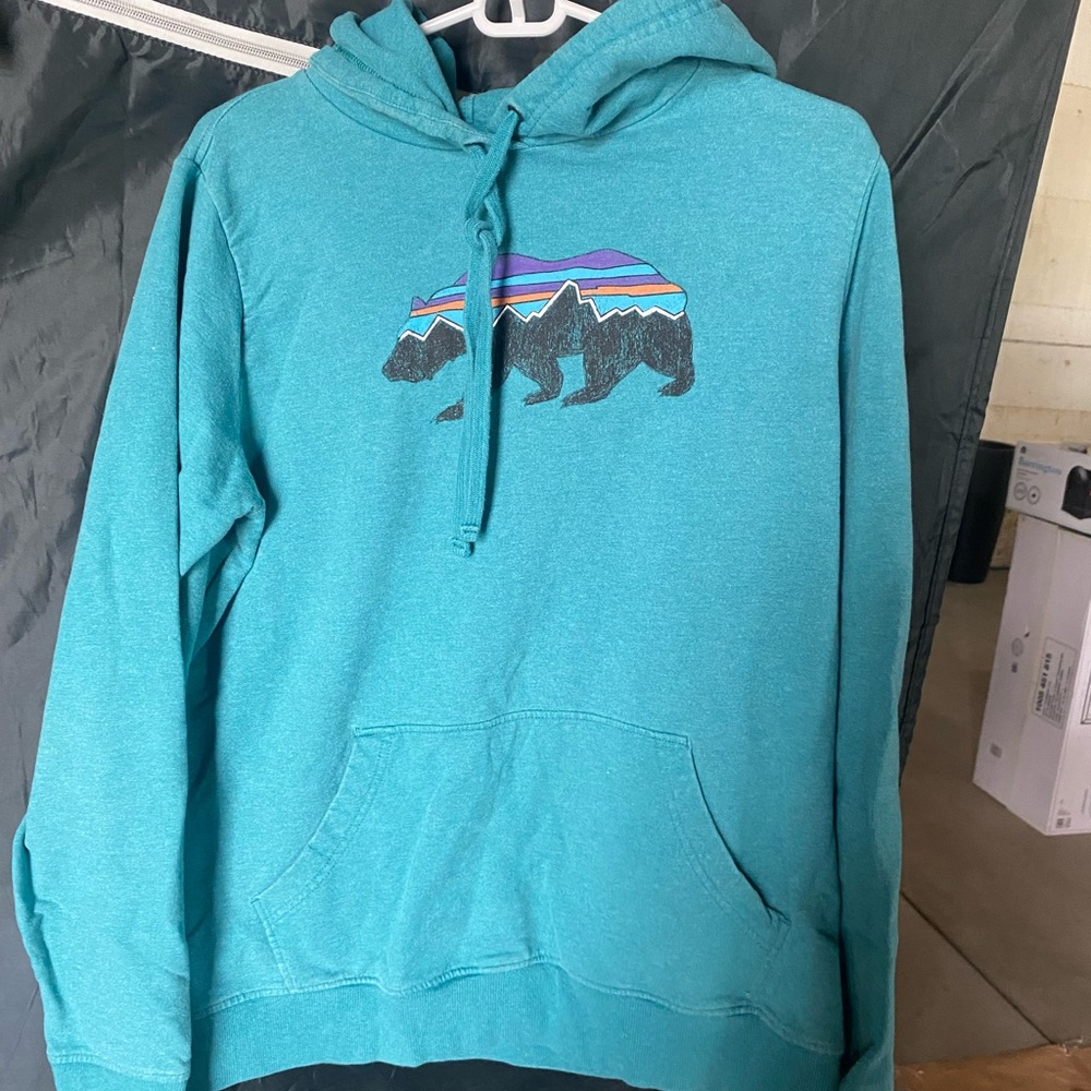 Patagonia hoodie